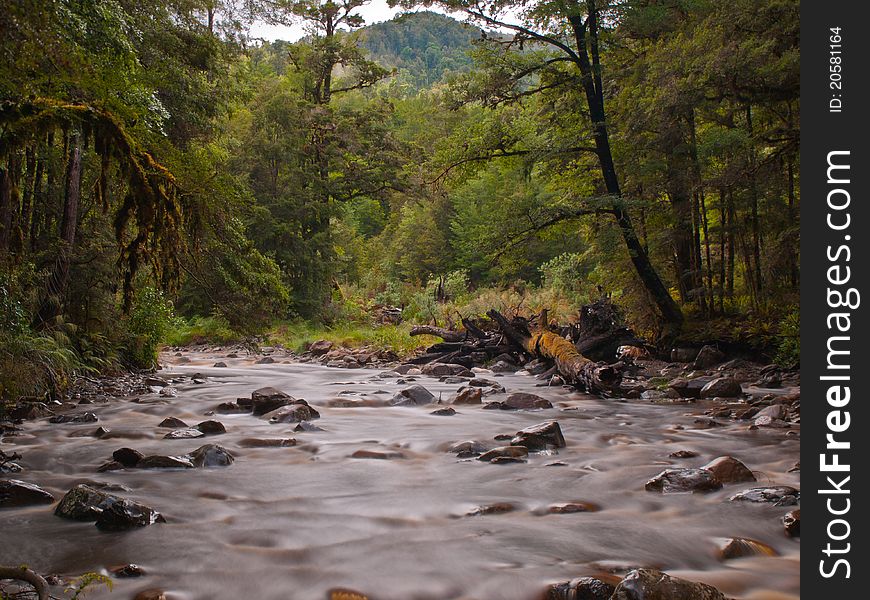 A fast flowing forest stream. A fast flowing forest stream