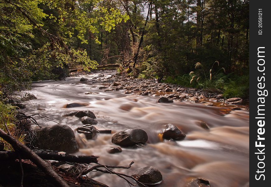 Faded forest stream