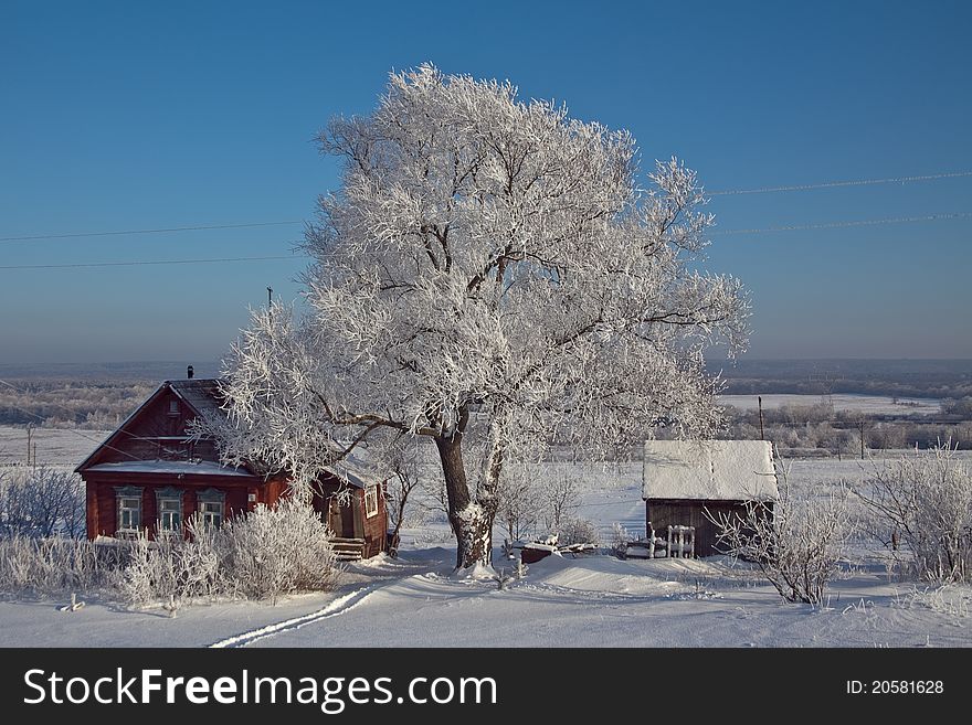 The photo of sunny winter Christmas day in the countryside in Russia. The photo of sunny winter Christmas day in the countryside in Russia.