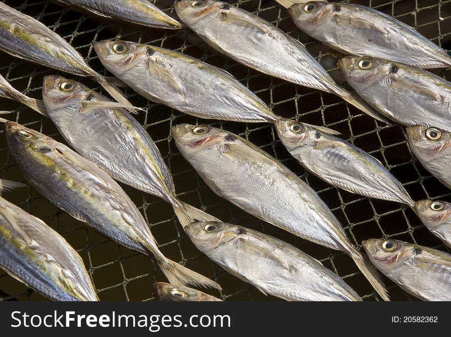 Dried salty fish, a kind of chinese food. Dried salty fish, a kind of chinese food