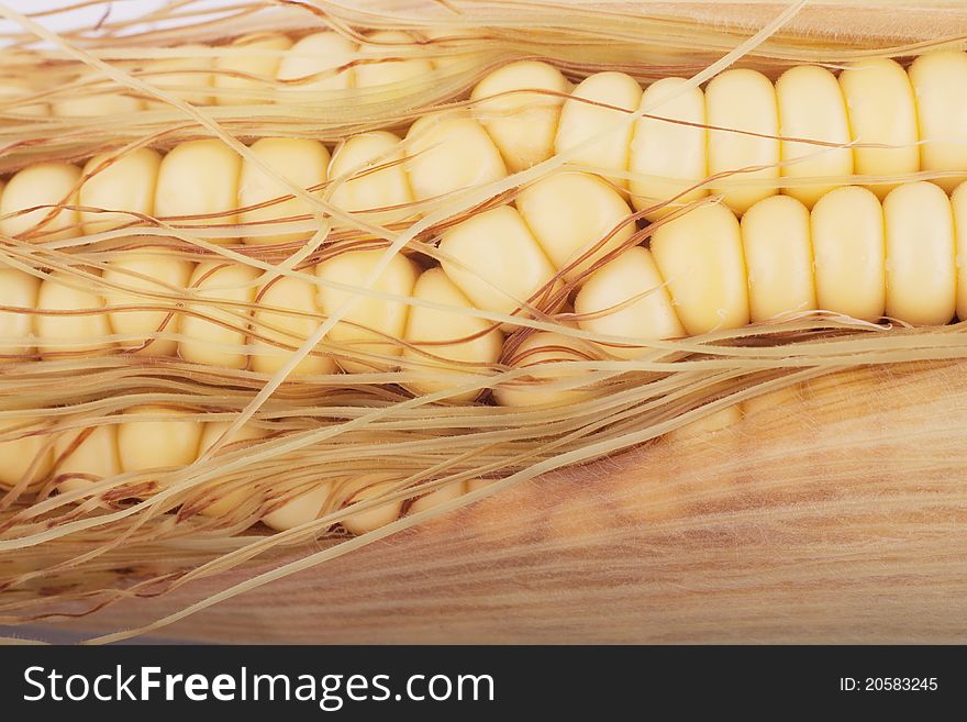 Corn isolated on white background.