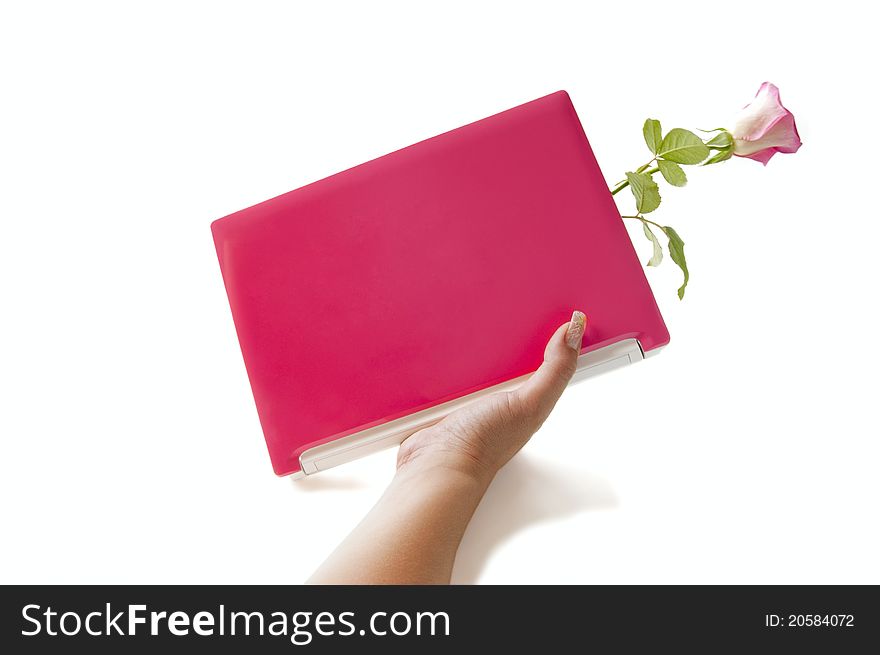 The female hand holds the pink laptop with a rose