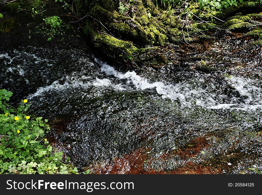 Detail of a torrent in spring