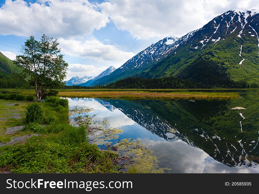 Mountain reflection on the pond