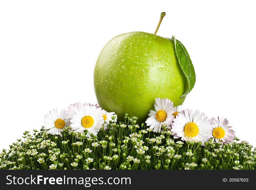 Fresh apple on a green grass isolated on a white background