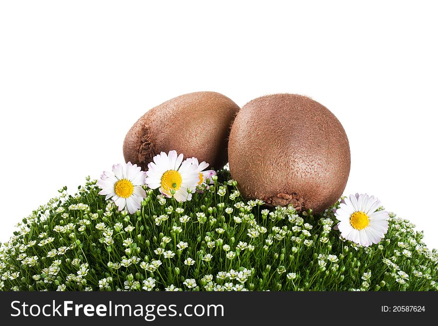 Kiwi on a green grass isolated on a white background