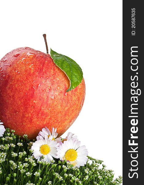 Fresh apple on green grass isolated on a white background