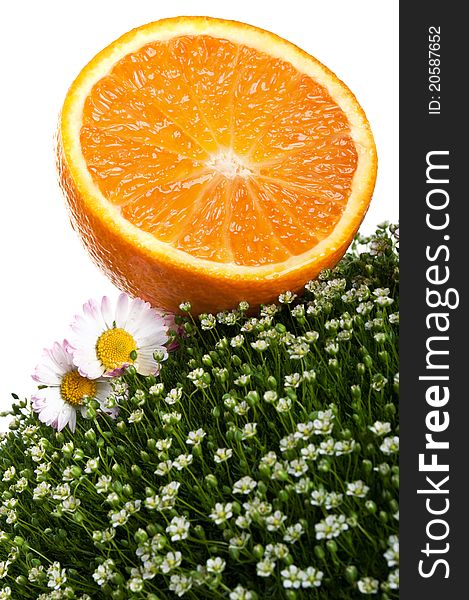 Fresh orange on green grass isolated on a white background