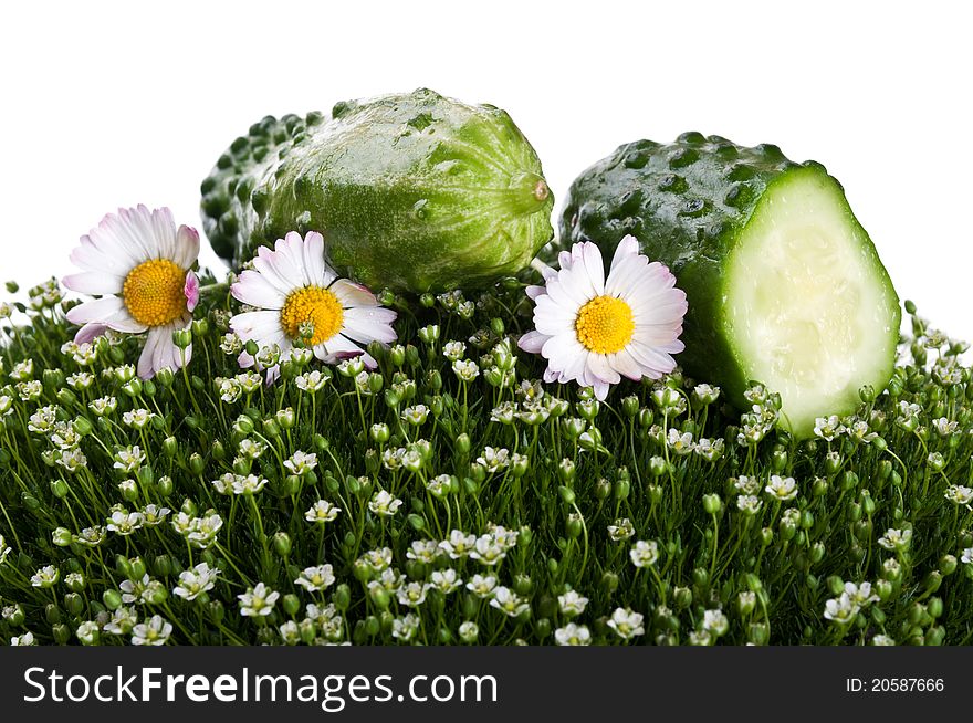 Fresh cucumber on a green grass isolated on a white background