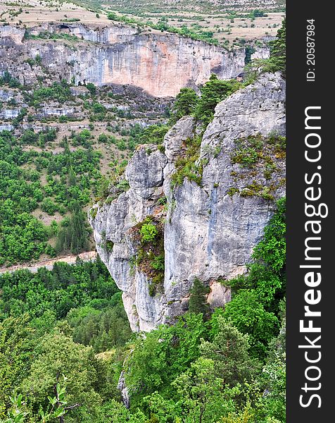 Green Landscape And Rocky