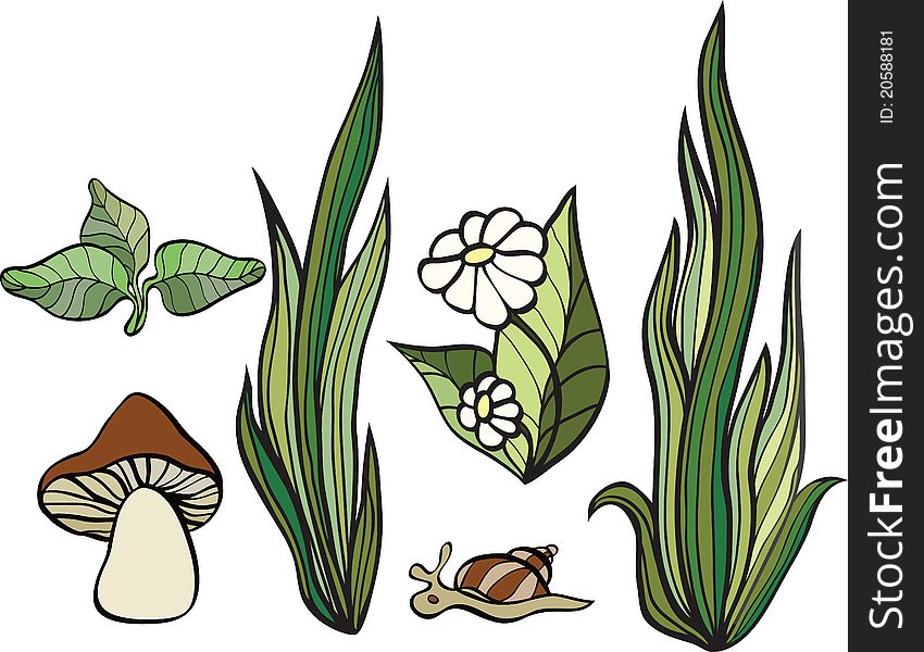 Set of plants isolated on white background