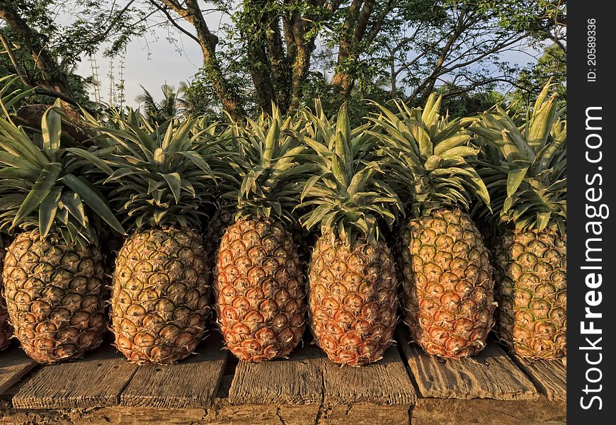 Rows of pineapple for sale by the side of the road in Asia.