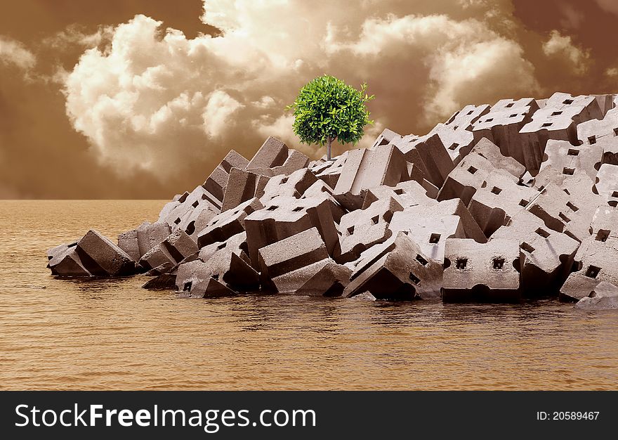 Alone tree on concrete blocks