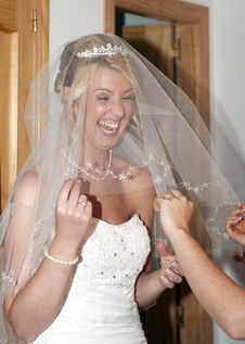 Bride And Wedding Dress Stock Photo
