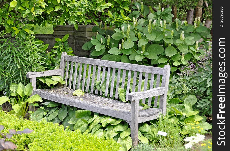 Park bench placed in a wonderful garden setting. Park bench placed in a wonderful garden setting