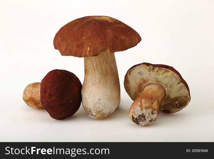 White mushrooms are delicious food and a valuable food ingredient to many dishes. White mushrooms are delicious food and a valuable food ingredient to many dishes