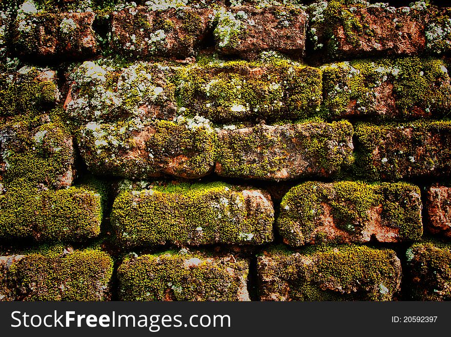 Detail of moss on the old brick wall