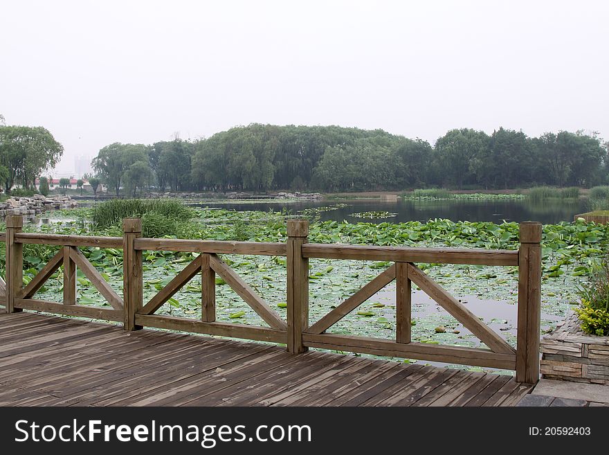 Wood bridge in a park in spring