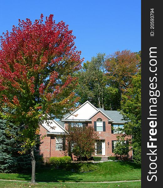 September colors with house in a subdivision and frontyard landscape. September colors with house in a subdivision and frontyard landscape