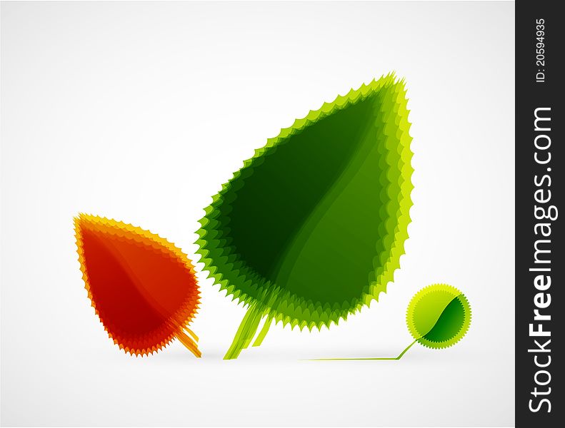 Vector Leaf Concept