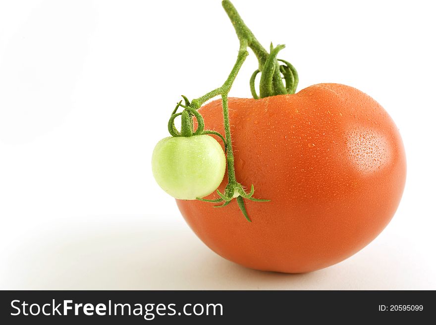 A nice ripe red tomato and a small green tomato. A nice ripe red tomato and a small green tomato.