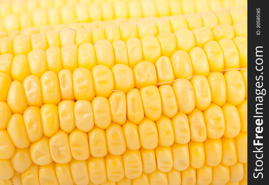 Maize