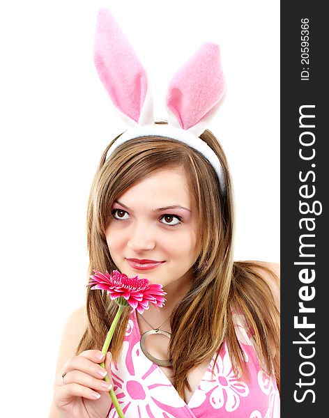 Easter bunny female with gerber in her hand - isolated