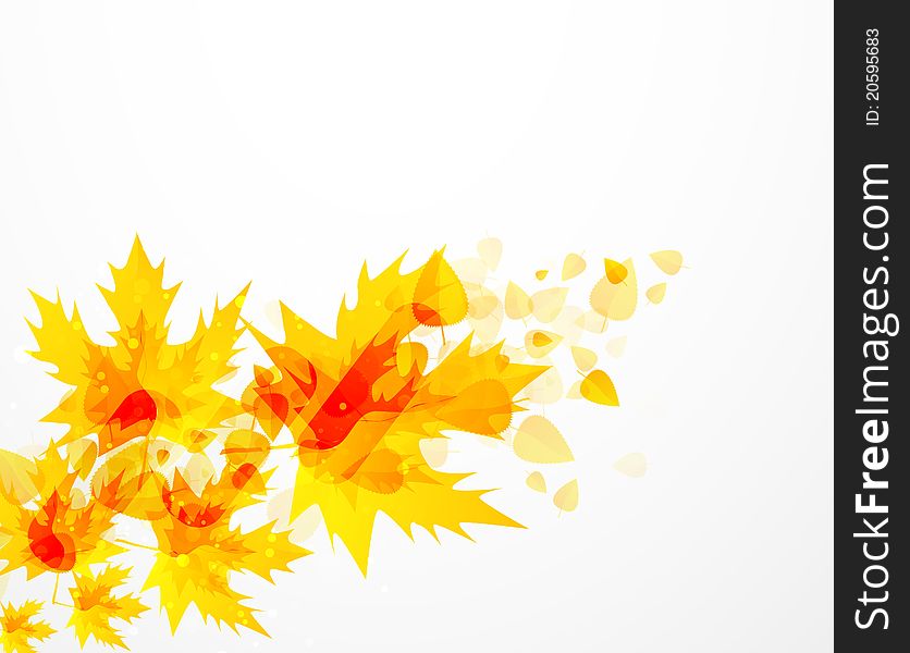Autumn  Leaves Background