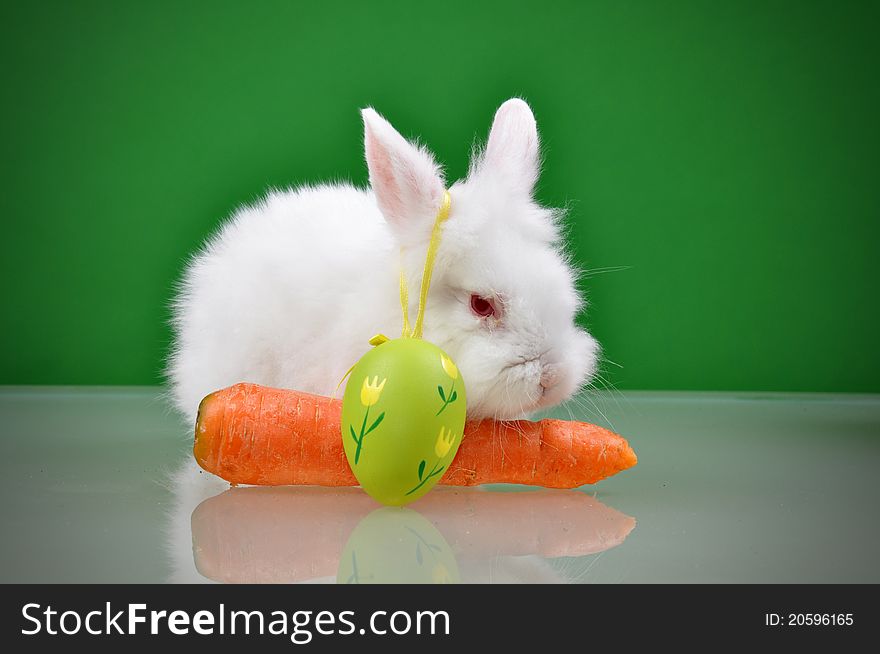 White small rabbit with carrot and easter egg