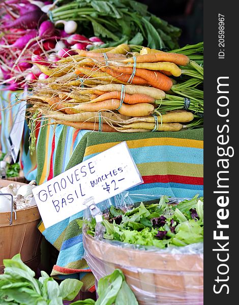 Carrots, radishes and herbs at farmer's market. Carrots, radishes and herbs at farmer's market.