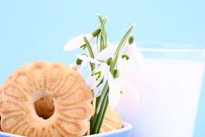 Cookie Nad Milk Stock Images Cookie Nad Milk Stock Images