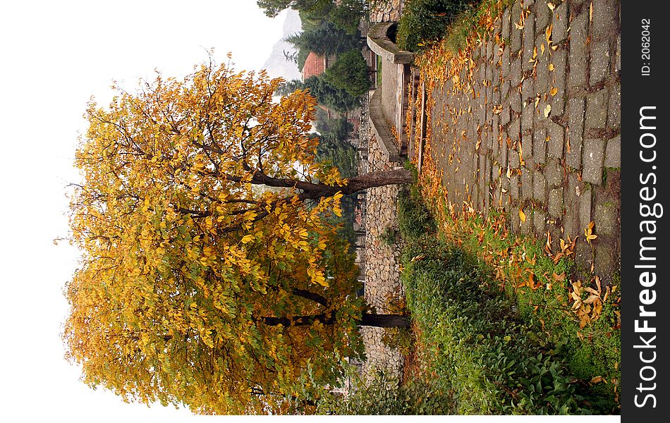 Tree, bridge and road in Amasya, Turkey. Tree, bridge and road in Amasya, Turkey