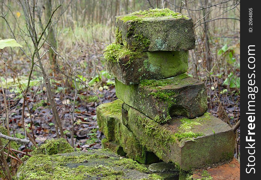 Wall, ancient, background, green, stone, forest, tree,. Wall, ancient, background, green, stone, forest, tree,