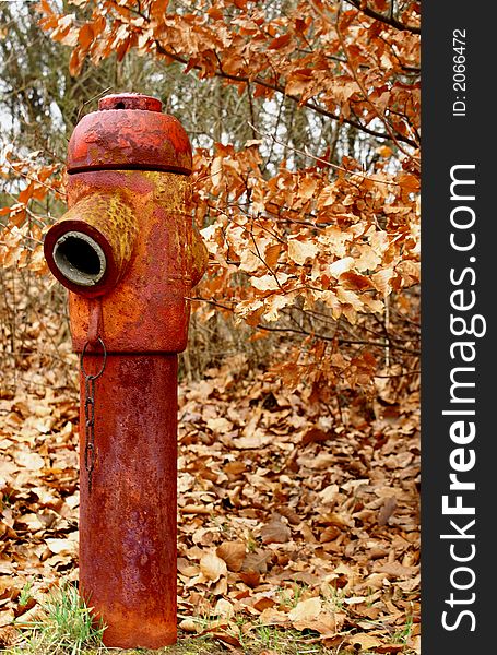 Rusty Fire Hydrant