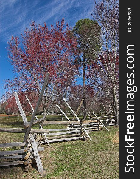 Spring scene with flowering tree and rough wooden fence