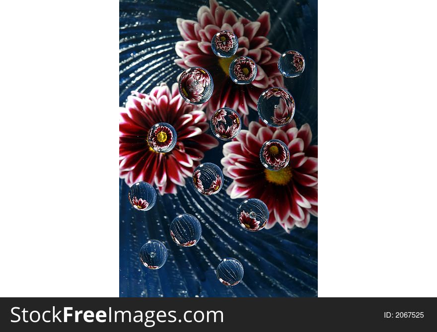 Flowers reflected in water drops on a wavy glass plate. Flowers reflected in water drops on a wavy glass plate