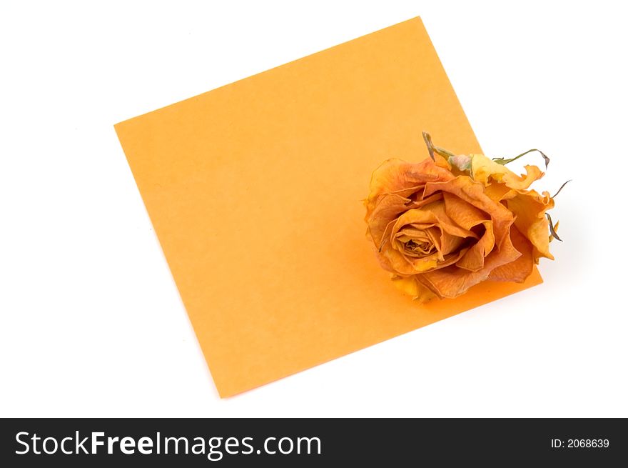 Empty orange note paper and rose bud isolated over white