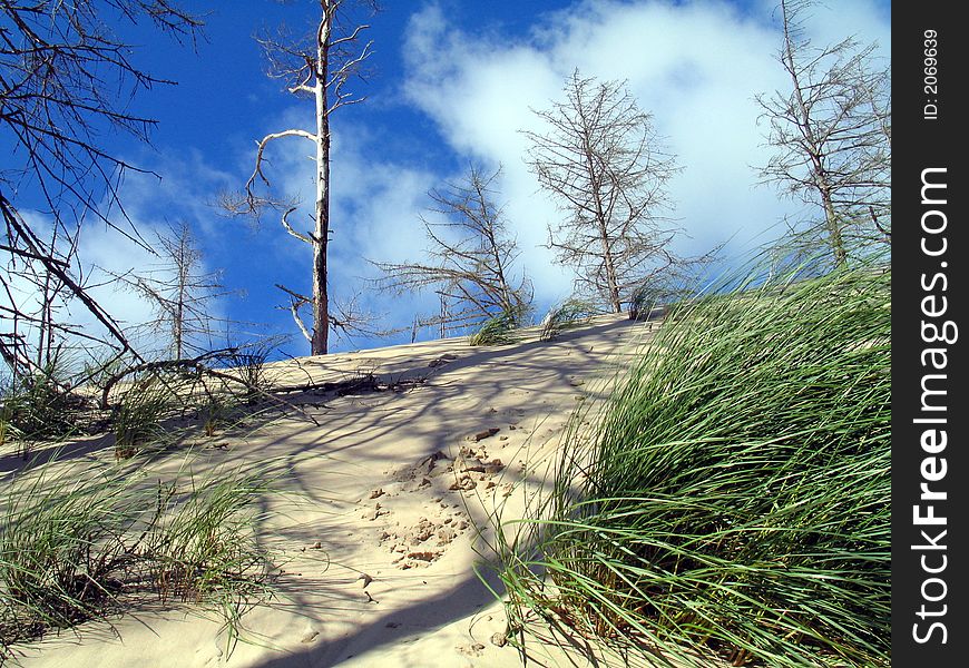 Polish dunes. Leba at Baltic Sea.