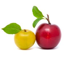 Two Fresh Plums With Leafs Royalty Free Stock Images Two Fresh Plums With Leafs Royalty Free Stock Images