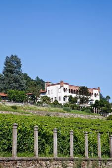 Italian Charming Villa In Vineyard Royalty Free Stock Photo Italian Charming Villa In Vineyard Royalty Free Stock Photo