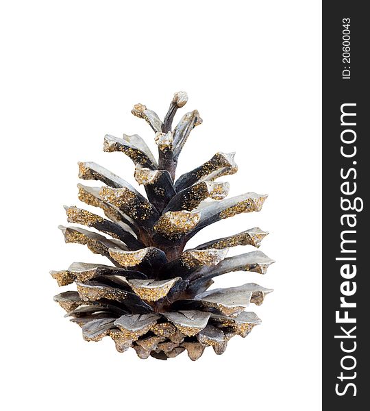 Christmas decorated pine cones on a white background