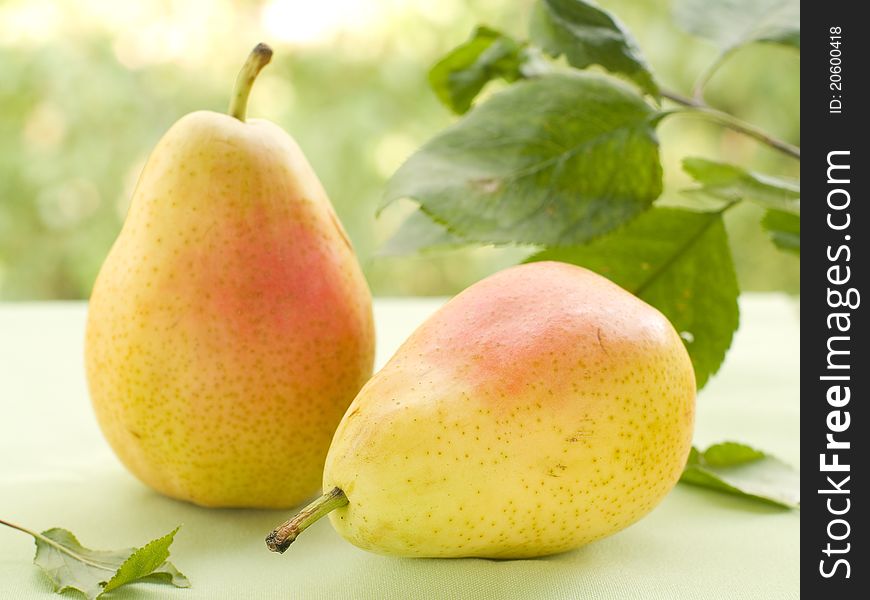 Fresh juicy pears on natural background. Selective focus