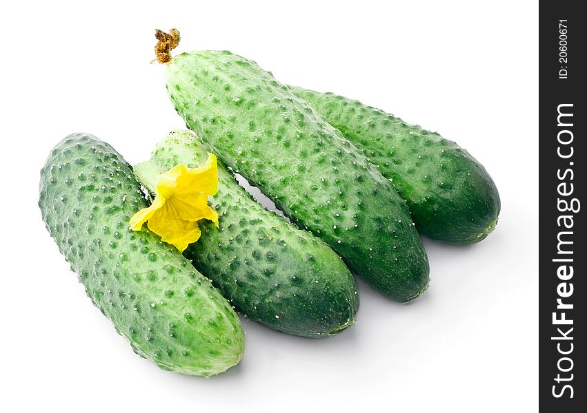 Fresh Cucumbers And Inflorescence
