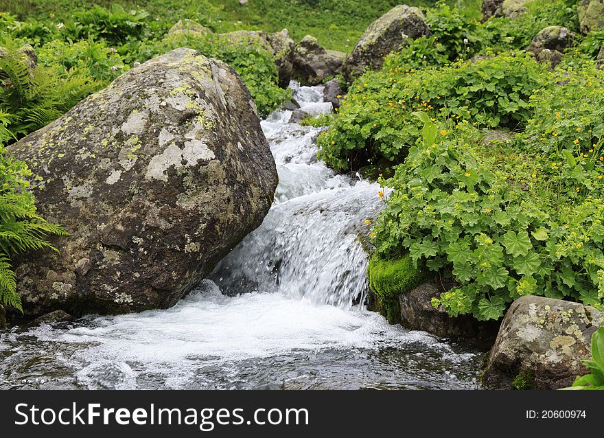 Mountain stream and grass with water drops
