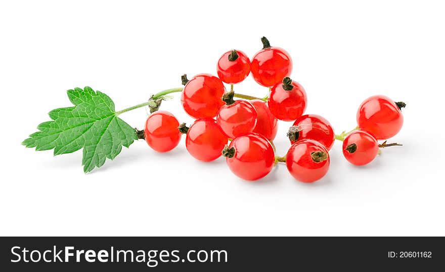Sprig of red currant with leaf isolated on white background