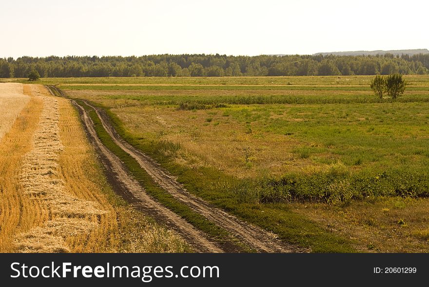 Country road on a hot summer day