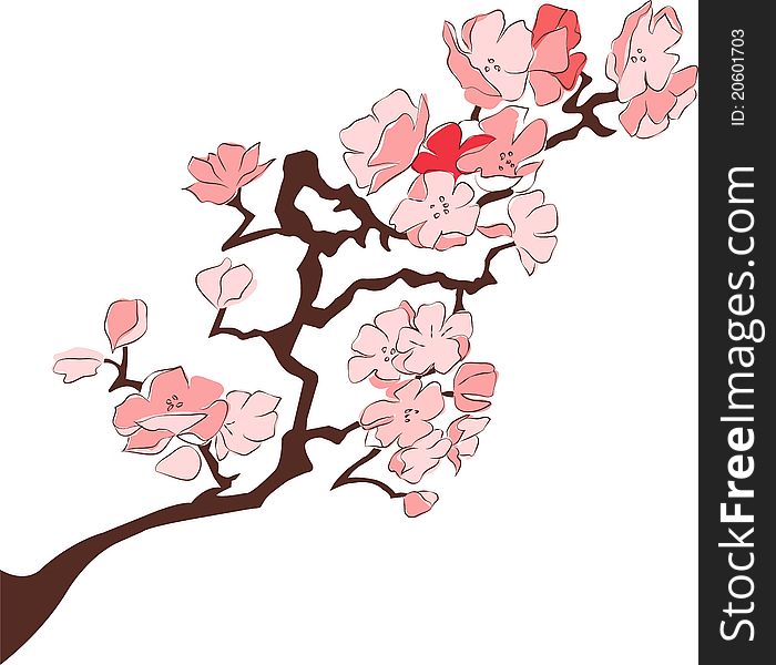 Japan cherry blossom branch illustration. Japan cherry blossom branch illustration