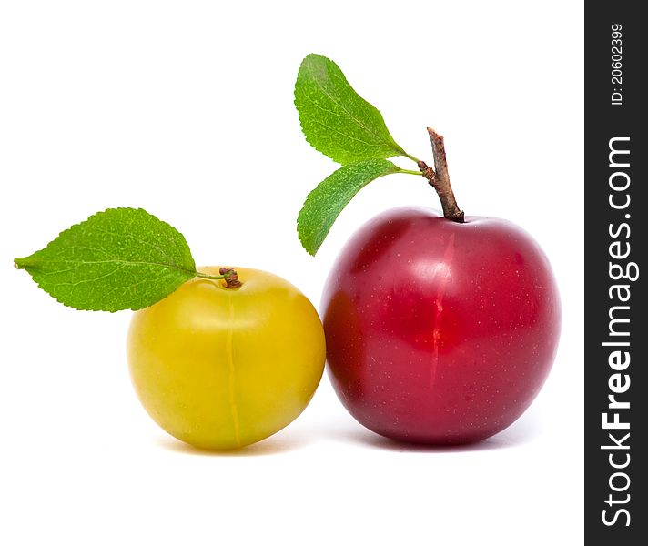 Two fresh plums  with leafs isolated on white background