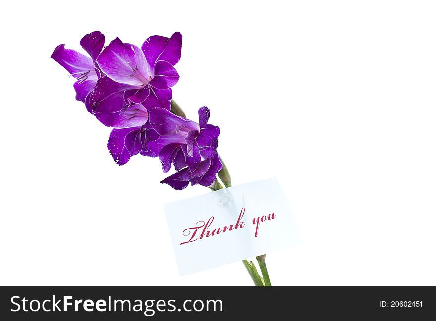 Say thank you on a background of beautiful flowers. Say thank you on a background of beautiful flowers