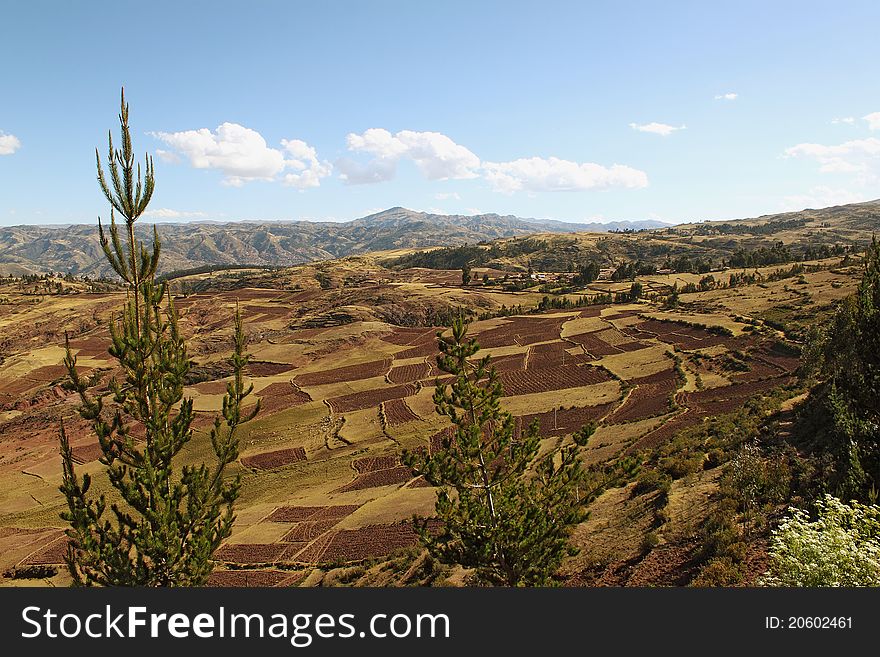 View on agriculture gardens in mountains, Peru
